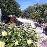 Casa Bi Rosario - Quinta Amoreira