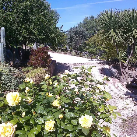 Casa Bi Rosario - Quinta Amoreira