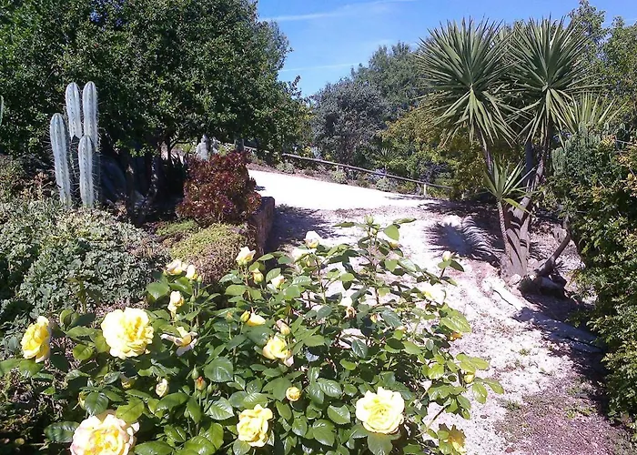 Casa Bi Rosario - Quinta Amoreira