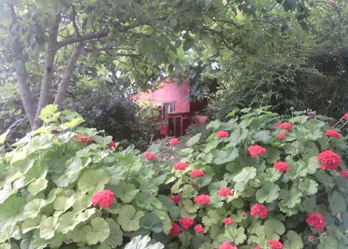 Casa Bi Rosario - Quinta Amoreira בית הארחה