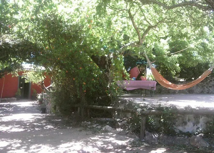 בית הארחה Casa Bi Rosario - Quinta Amoreira 4*