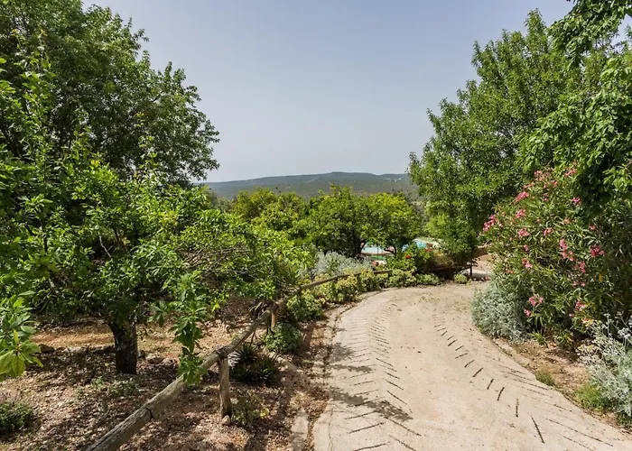 Casa Bi Rosario - Quinta Amoreira 4*